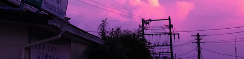2011.jpg